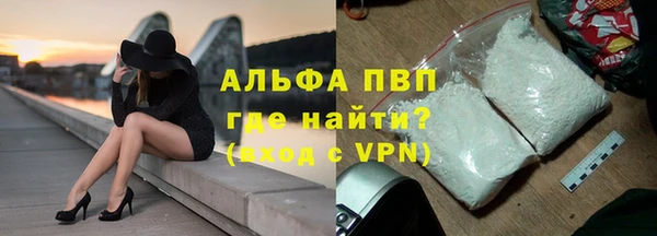 стаф Балахна