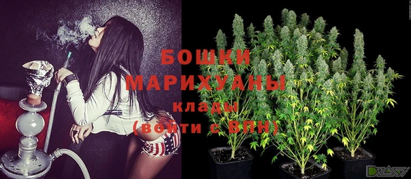 стаф Балахна
