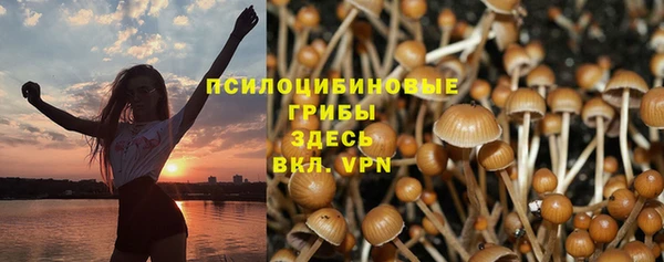 молекула духа Балабаново