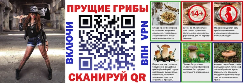 купить   Мглин  Галлюциногенные грибы мицелий 
